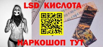 дживик Моздок