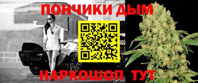 гидропоника Можга