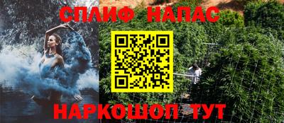 дживик Моздок