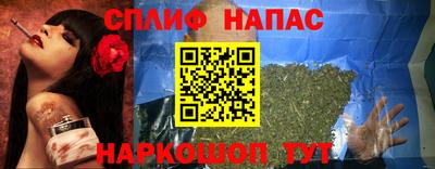 дживик Моздок