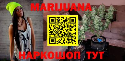 дживик Моздок