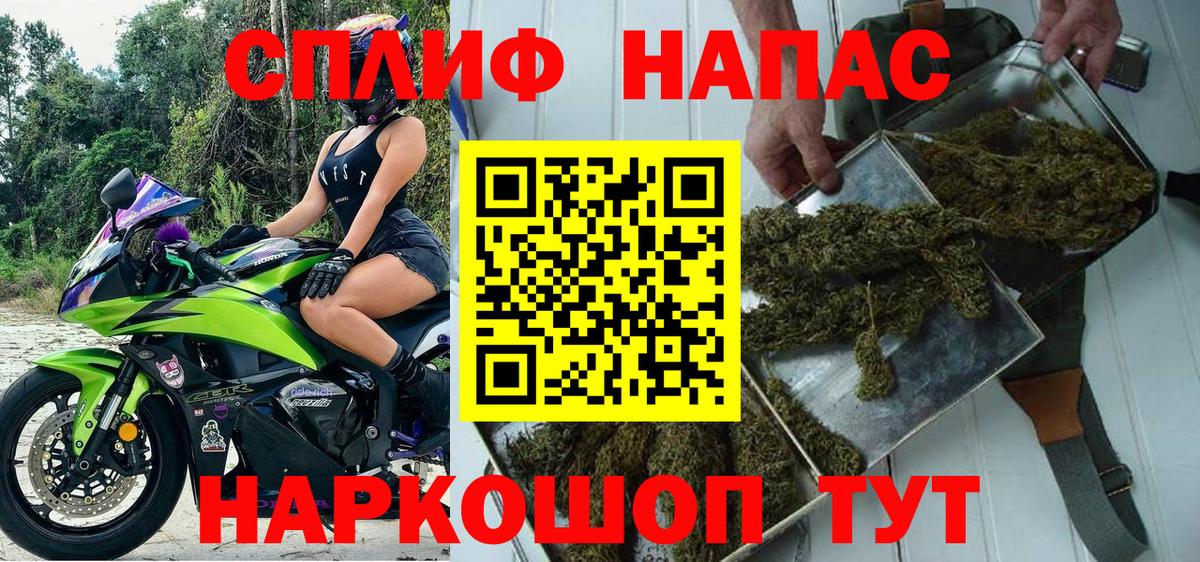 Марихуана конопля Черняховск